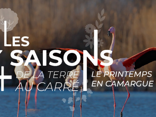 Les 4 saisons de « La Terre au carré » en Camargue du 17 au 21 avril 2023