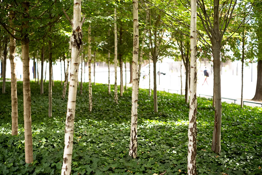 Jardin de la porte Seine au Rer C