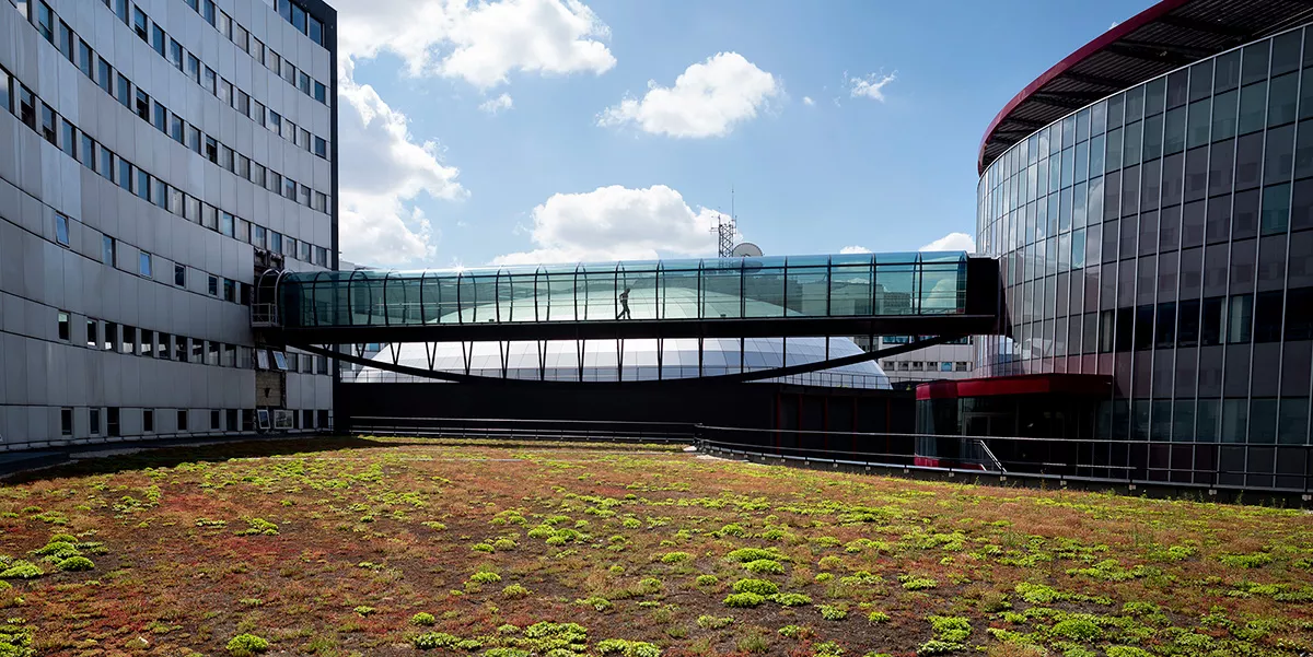 Végétalisation des toits-terrasses donnant sur l'intérieur du bâtiment