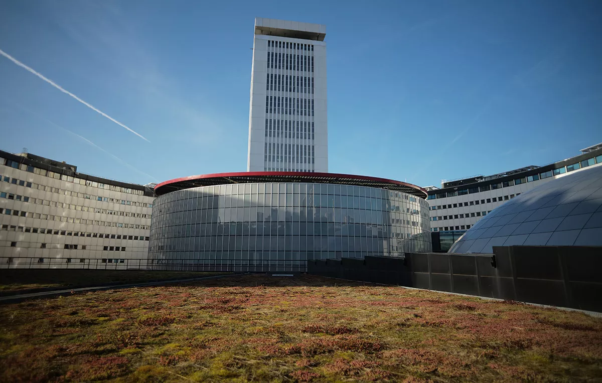 Végétalisation des toits-terrasses donnant sur l'intérieur du bâtiment