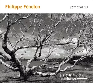 Still Dreams. Philippe Fénelon