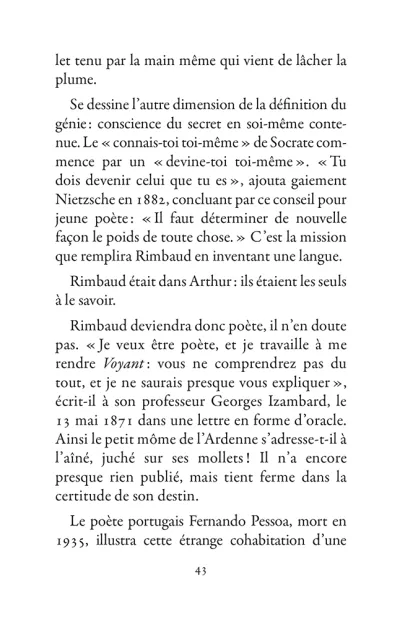 Un été avec Rimbaud Sylvain Tesson - p43