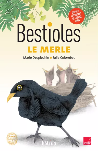 Bestioles - Le merle. Marie Desplechin - couverture