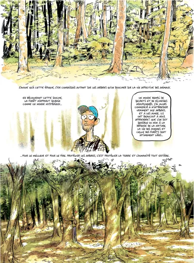 BD La vie secrète des arbres-p 11