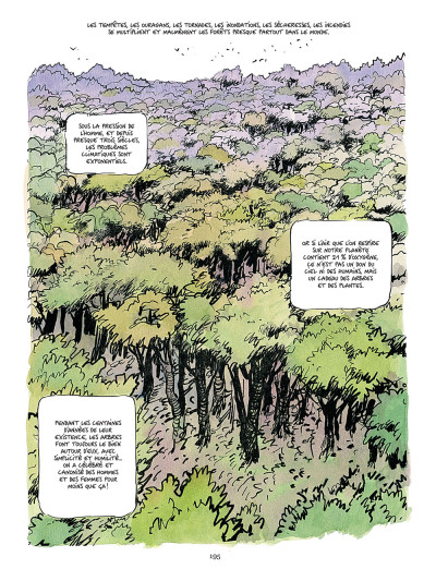 La Vie secrète des arbres  BoDoï, explorateur de bandes dessinées