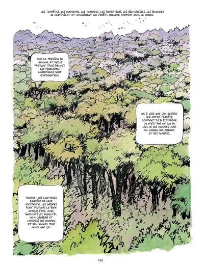 BD La vie secrète des arbres p-195