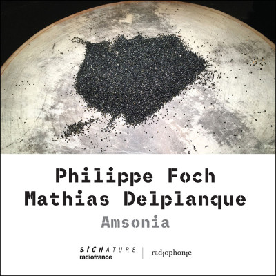 Amsonia.Philippe Focg. Mathias Delplanque